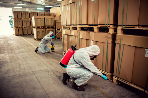 Best Pest Control Near Me  in Greenbrier, AR