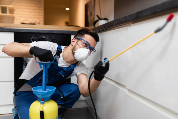 Best Pest Control for Homes  in Greenbrier, AR