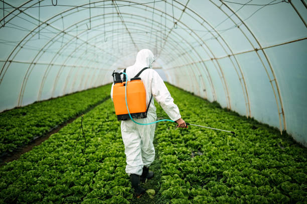 Best Pest Removal Services  in Greenbrier, AR