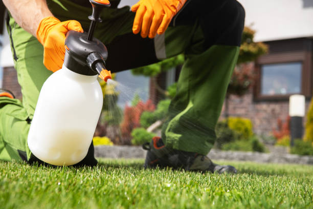 Best Mosquito Control Services  in Greenbrier, AR
