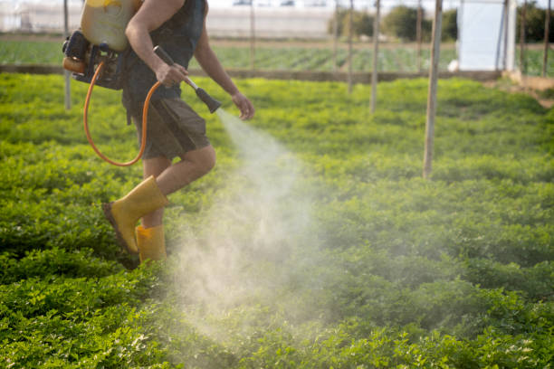 Professional Pest Control in Greenbrier, AR