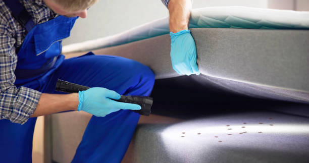 Best Affordable Pest Control Services  in Greenbrier, AR