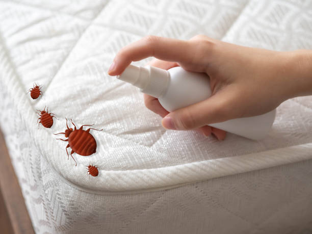 Best Pest Inspection Near Me  in Greenbrier, AR