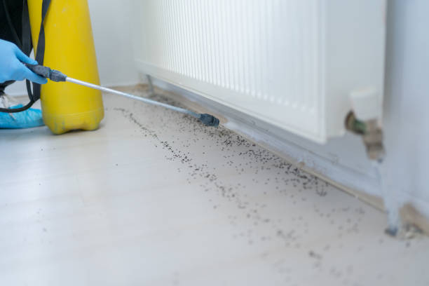 Best Best Pest Control Companies  in Greenbrier, AR